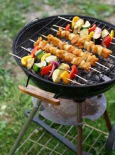 secrets-recettes-astuces-barbecue-sain-gourmand-leger